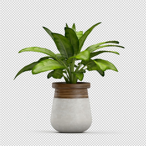 Flower pot with flower