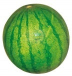 Red Seedless Watermelon - Malaysia